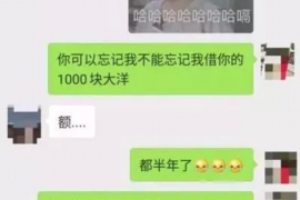 新河如果欠债的人消失了怎么查找，专业讨债公司的找人方法