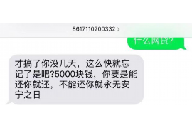 新河专业催债公司的市场需求和前景分析